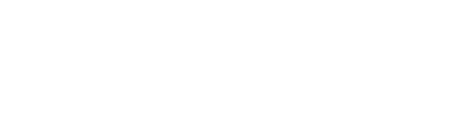 Adobe Solution Partner Gold logo