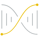 Gray and yellow DNA strand