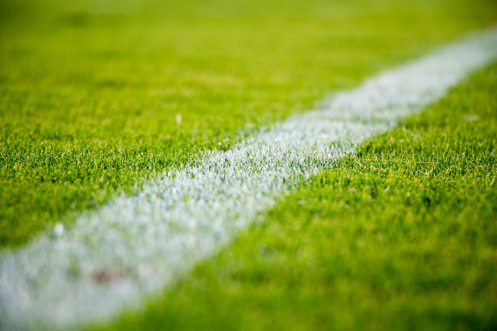 Up close shot of green turf with a white line painted on it